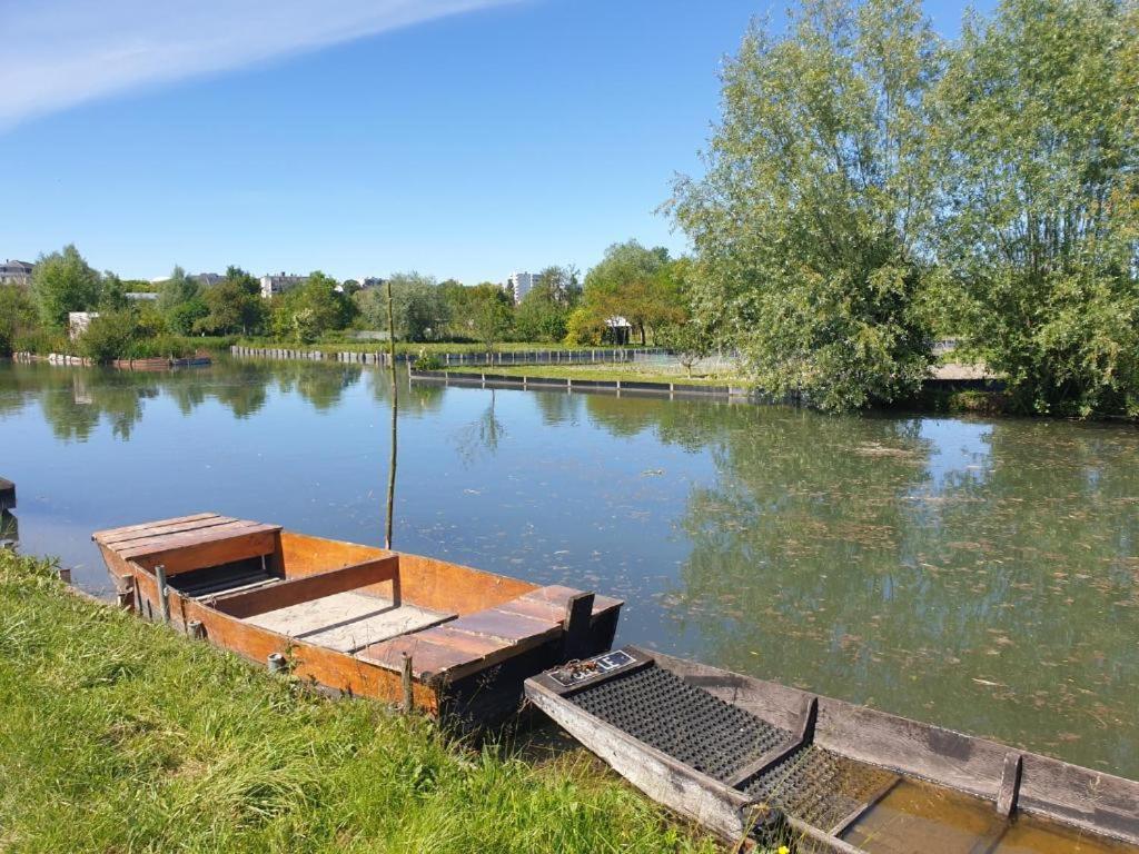 Studio Cerf, Quartier Marais, Terrasse Rez De Chausse, Jardin Accessible, Matelas Confortable Bourges Eksteriør billede